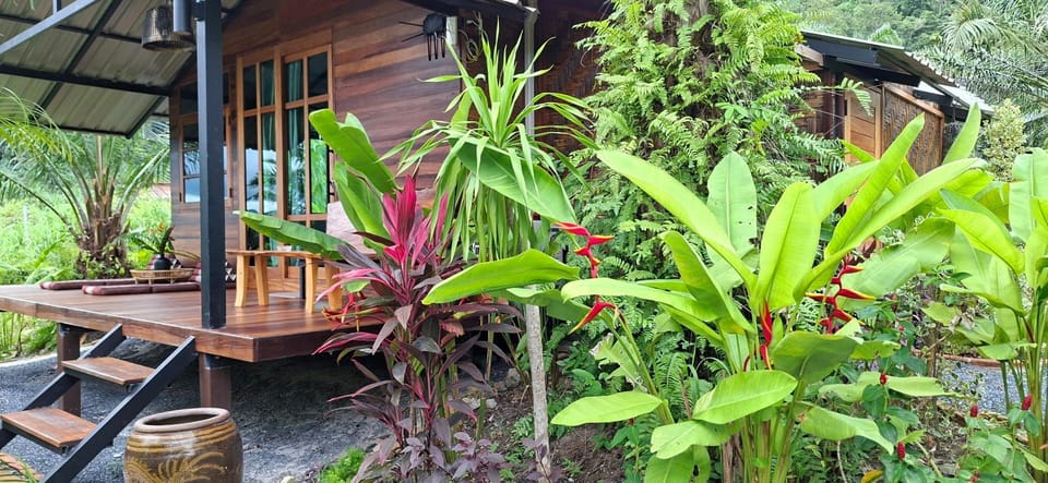 Tee Bungalow in the jungle Hotel in Krabi Changwat