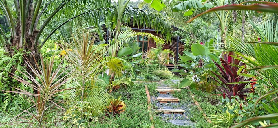 Tee Bungalow in the jungle Hotel in Krabi Changwat
