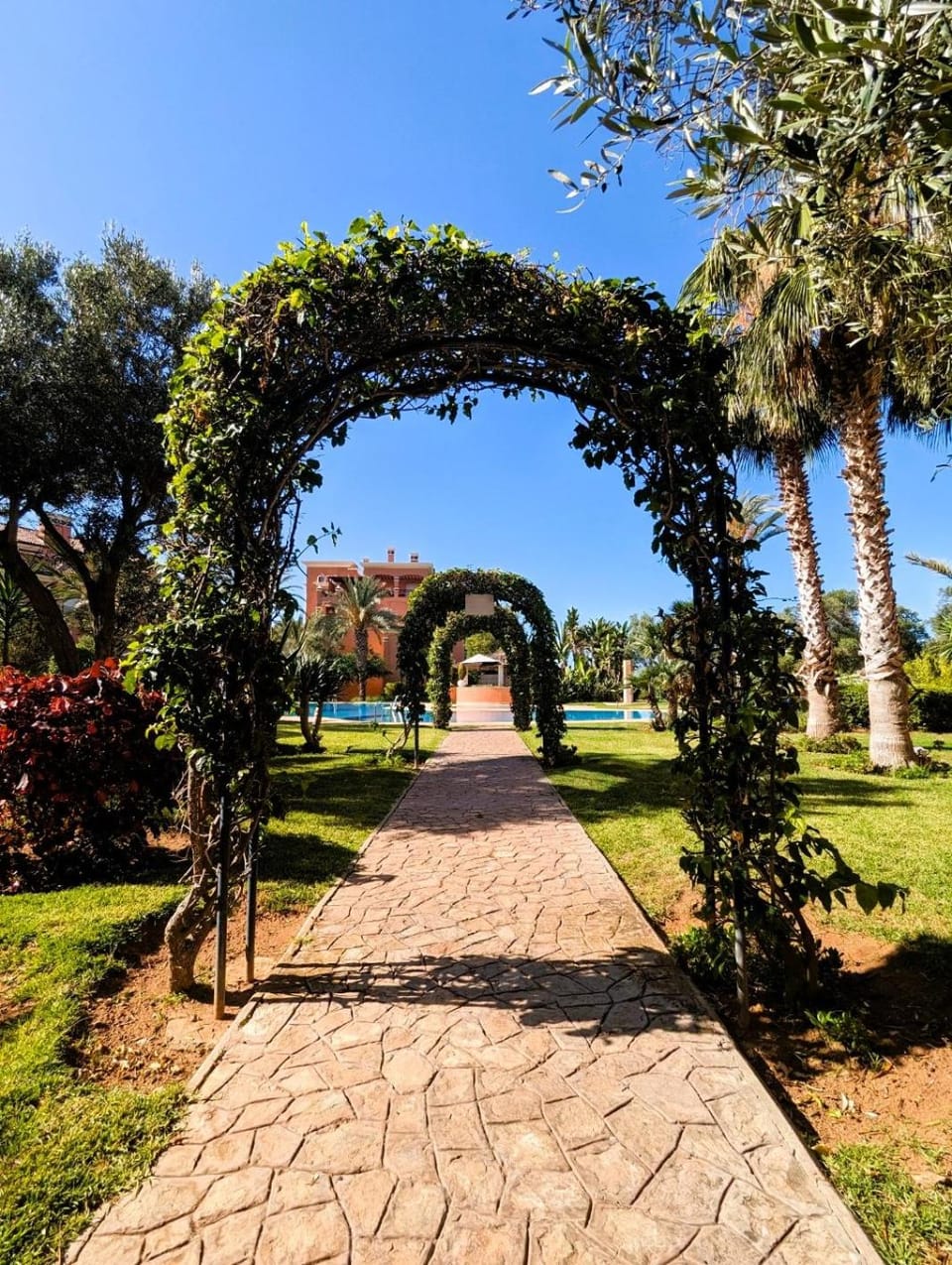 Garden view