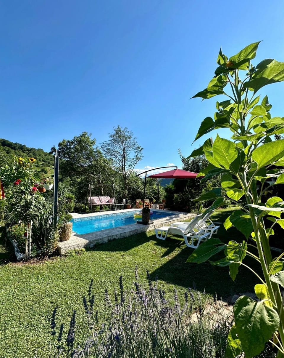 Natural landscape, Summer, Swimming pool