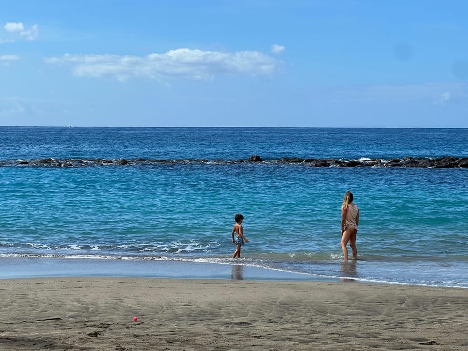 Day, Beach, children, group of guests