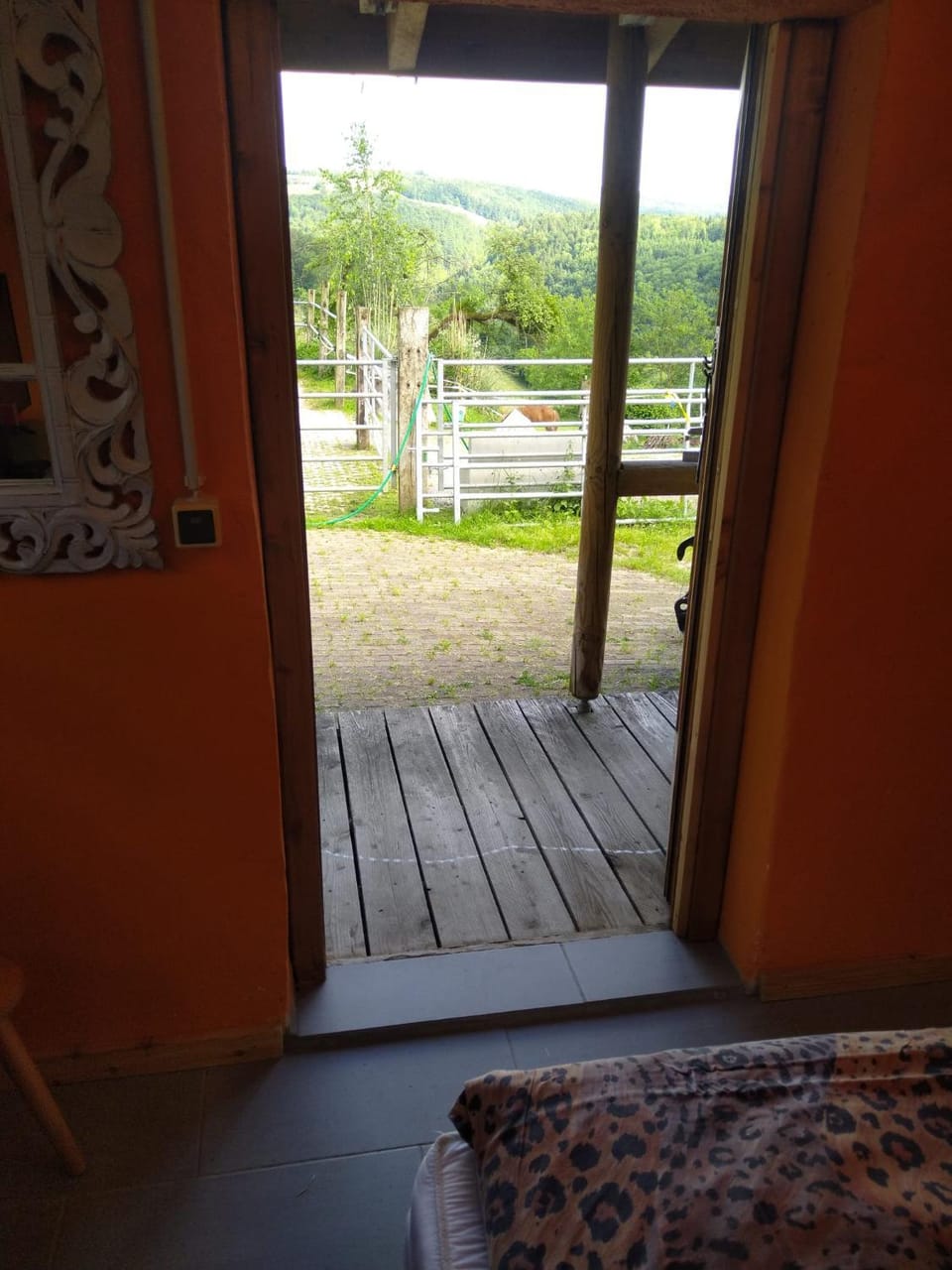 View (from property/room)
