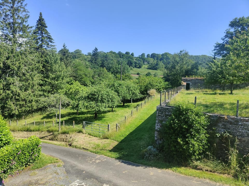 Spring, Natural landscape