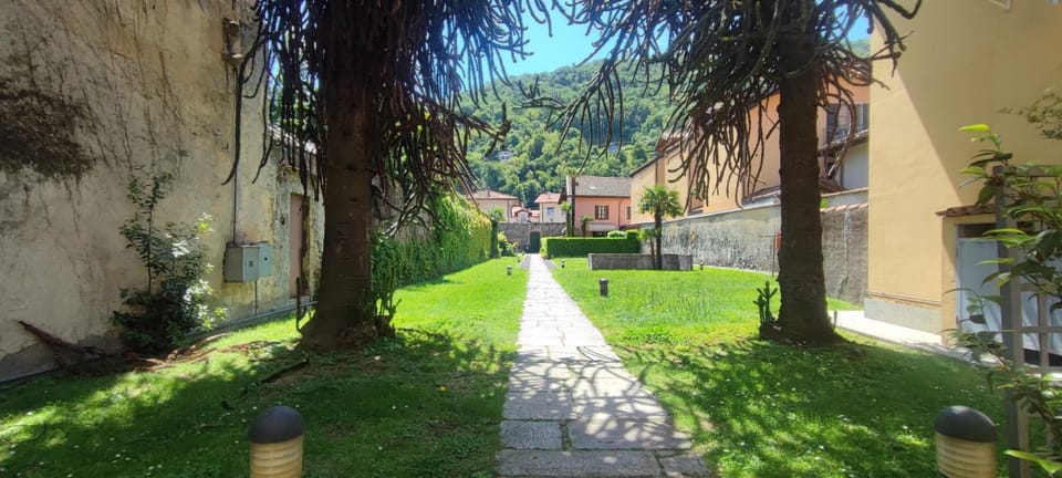 Property building, Garden view