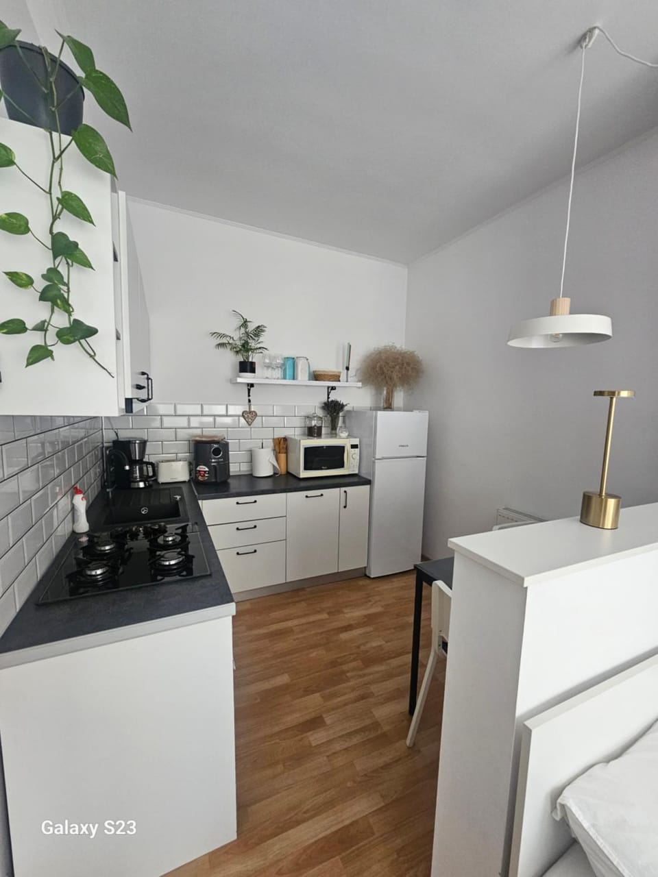 Cozy studio Hermannstadt Apartment in Sibiu