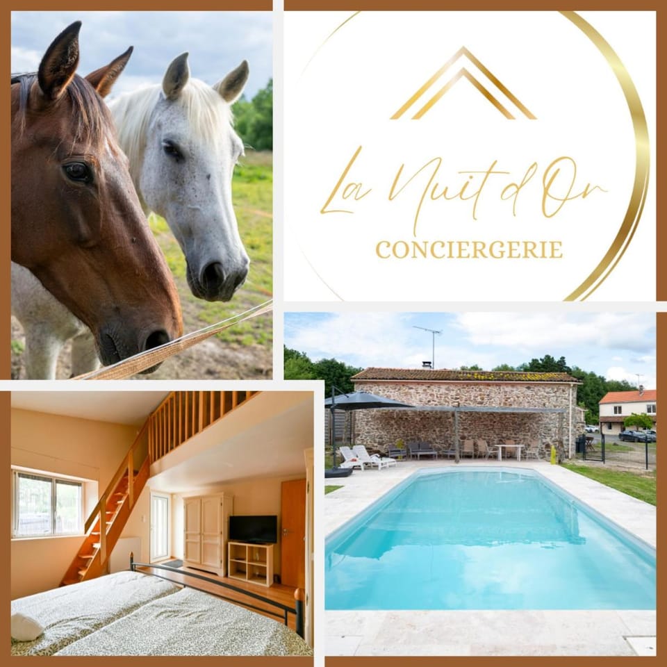 Natural landscape, Bedroom, Pets, Swimming pool