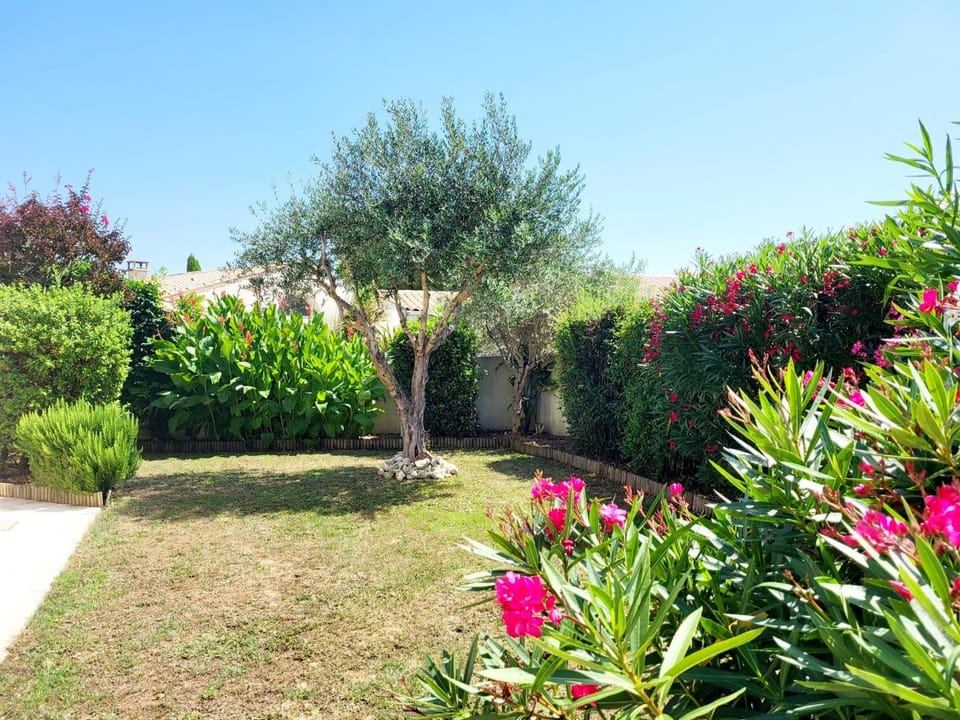 Garden, Garden view