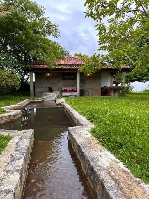 Garden, Garden, Balcony/Terrace