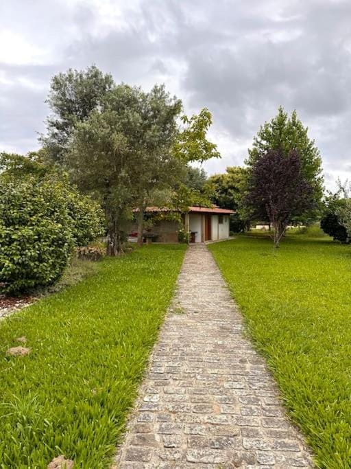 Garden, Garden, Balcony/Terrace