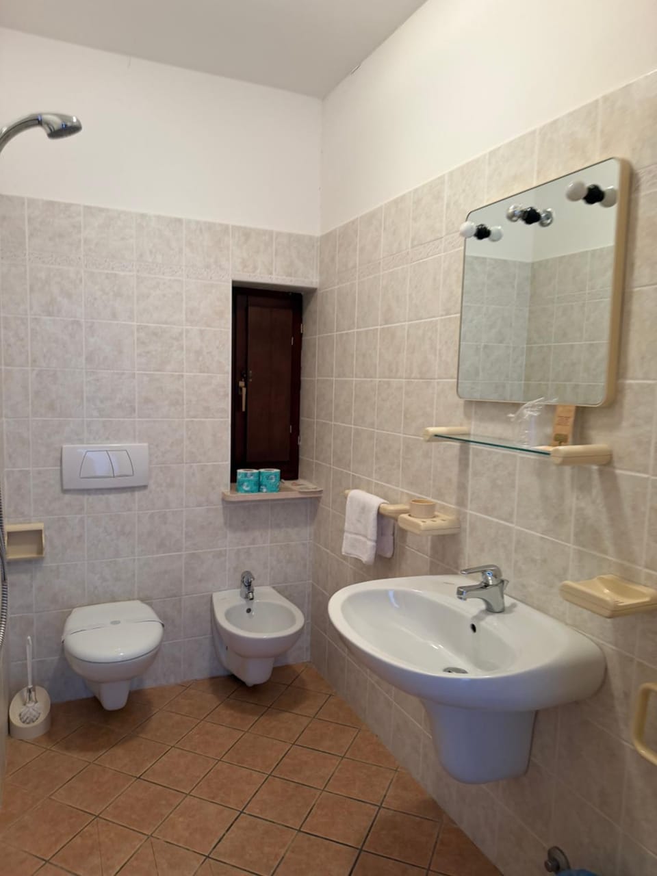 Shower, Toilet, Bathroom, bidet