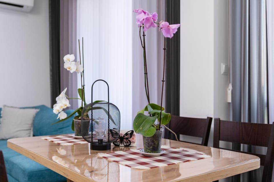 Living room, Seating area, Dining area, air conditioner