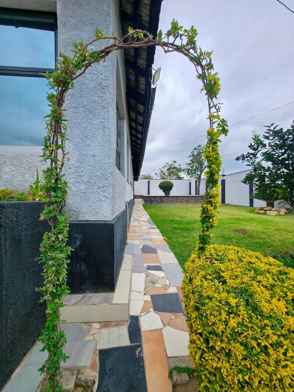 Day, Garden, Garden view