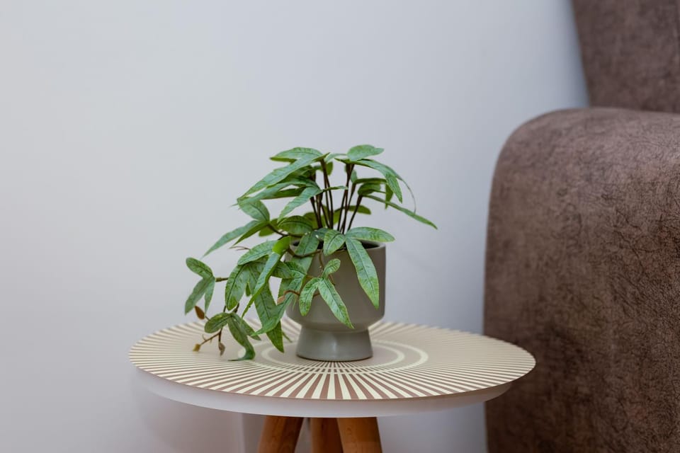 Elegant Escape Podgorica Apartment in Podgorica