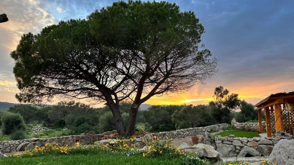 Ammentos Bed and Breakfast in Sardinia