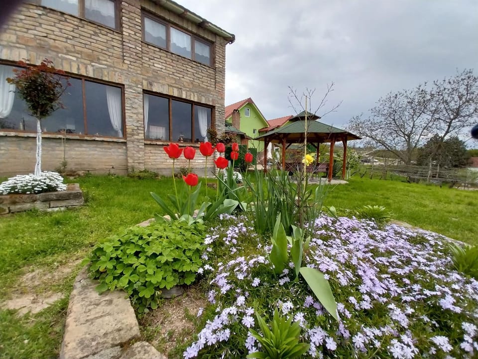 R&H apartmani Vacation rental in Vojvodina