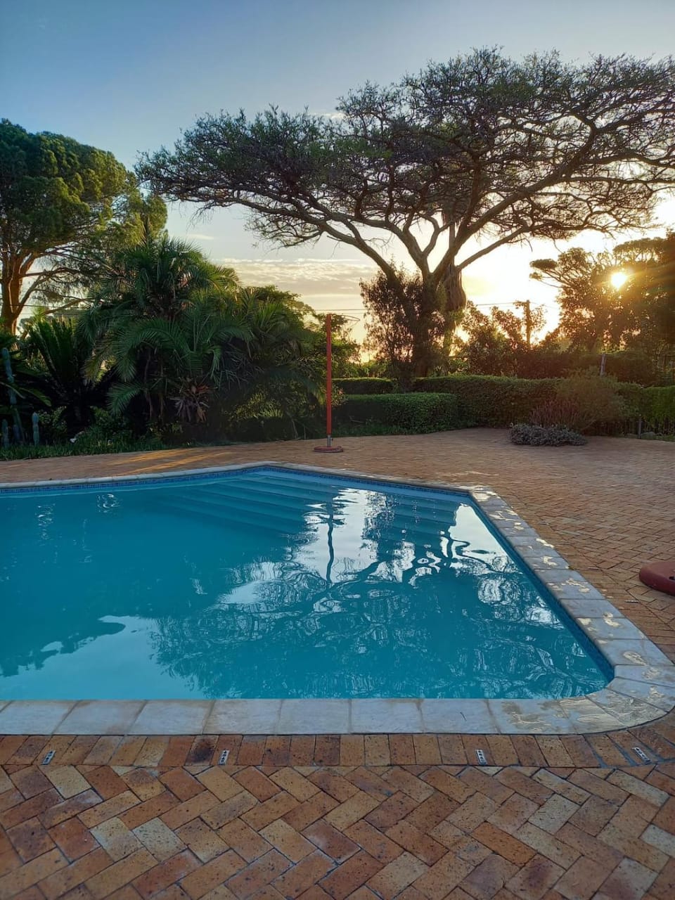 Pool view, Swimming pool, Sunset