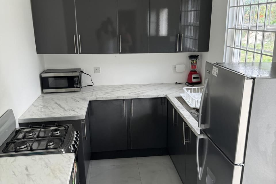 1 Bed - Sleeps 4 - Parking - 5 Min to Beach Apartment in St. Ann Parish