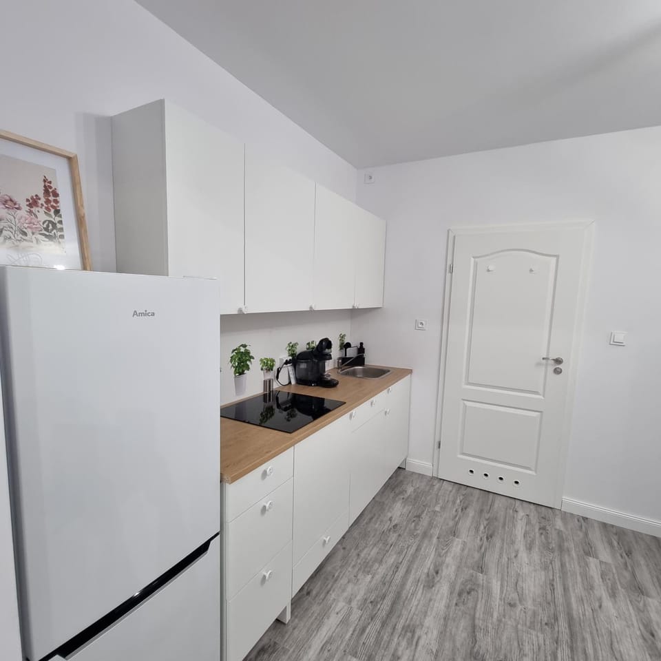 Apartament Chopina IV Apartment in Lower Silesian Voivodeship