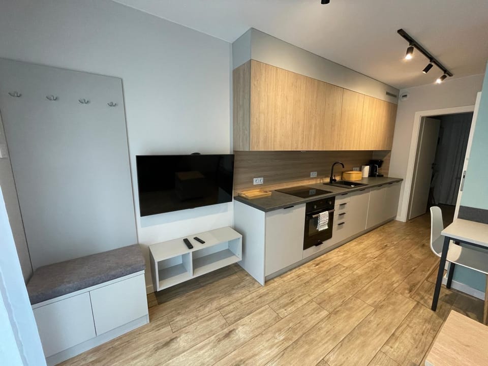 Kitchen or kitchenette, Dining area, oven, stove