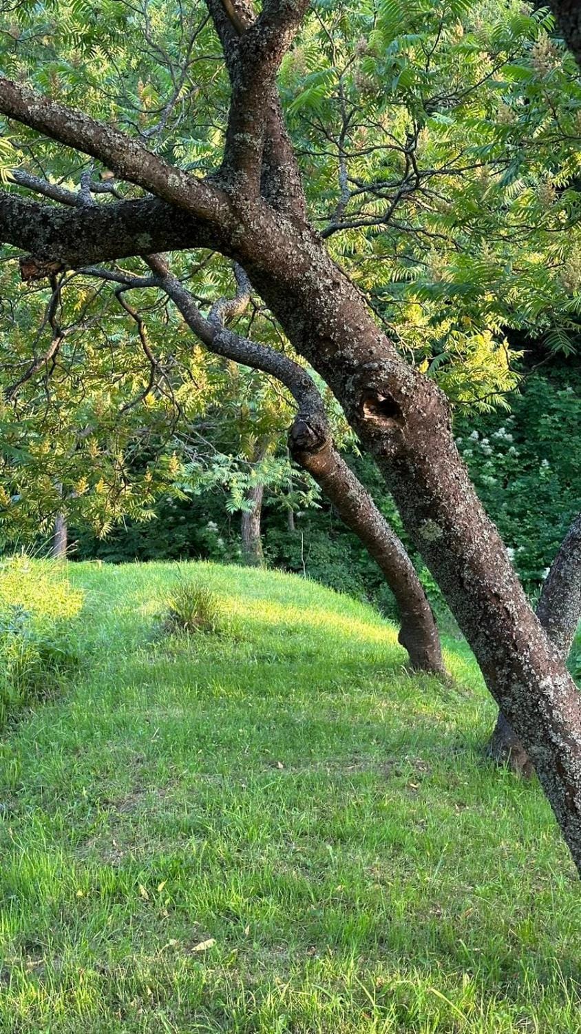 Natural landscape