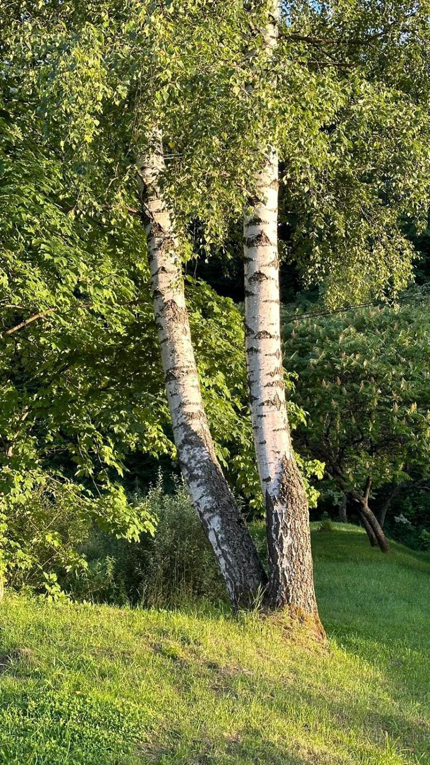 Natural landscape
