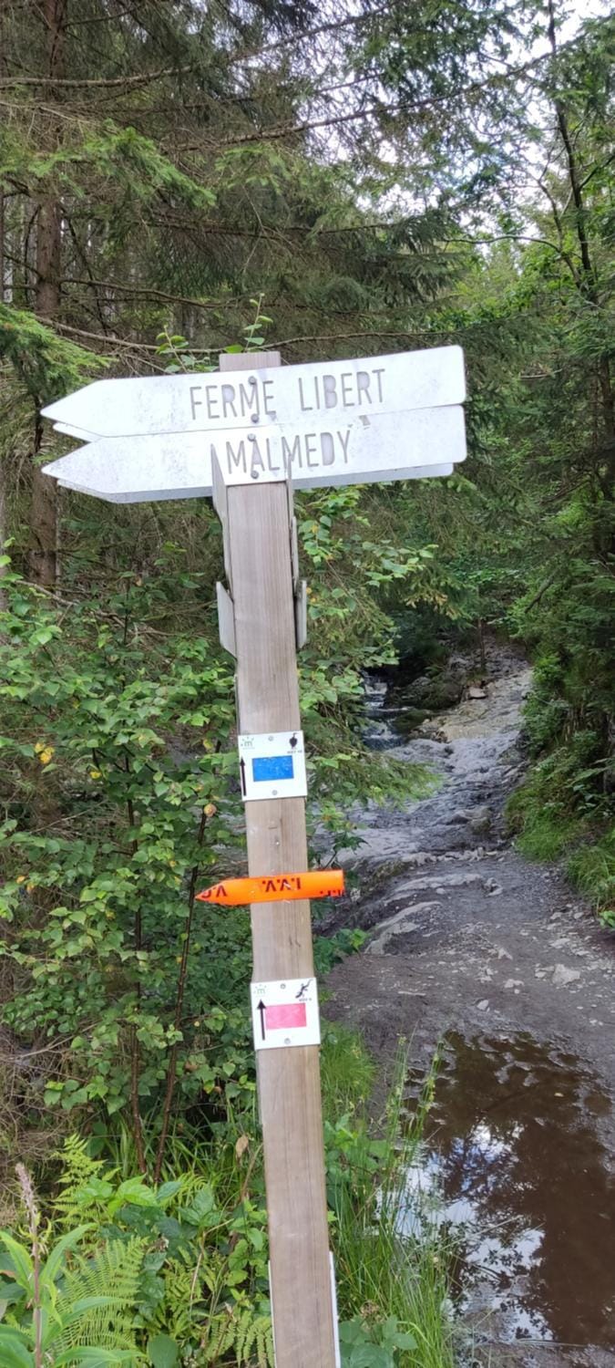 Nearby landmark