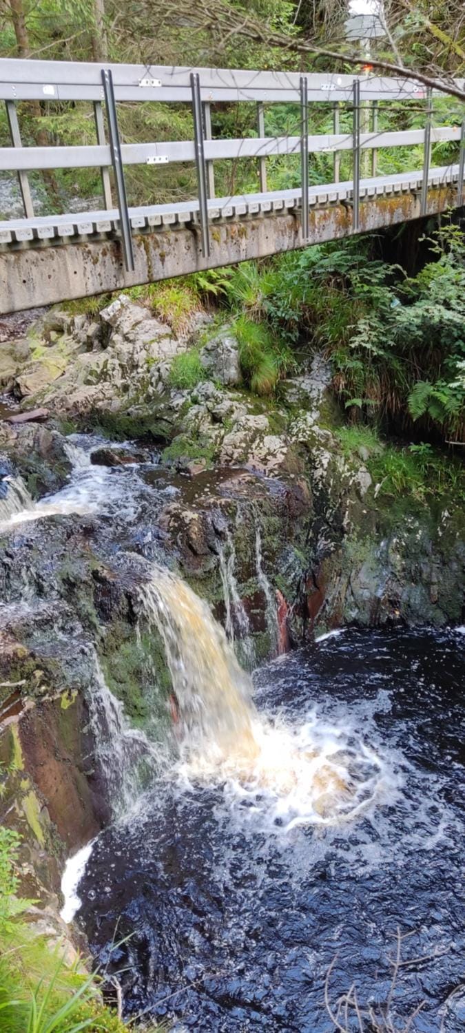 Natural landscape