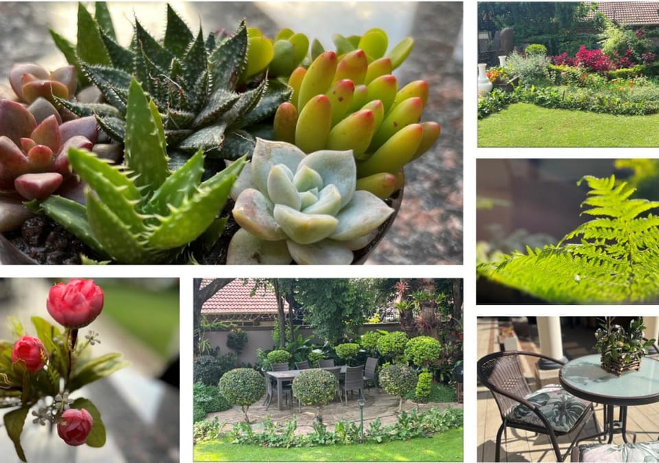 Patio, Garden, View (from property/room), Garden view, Pool view