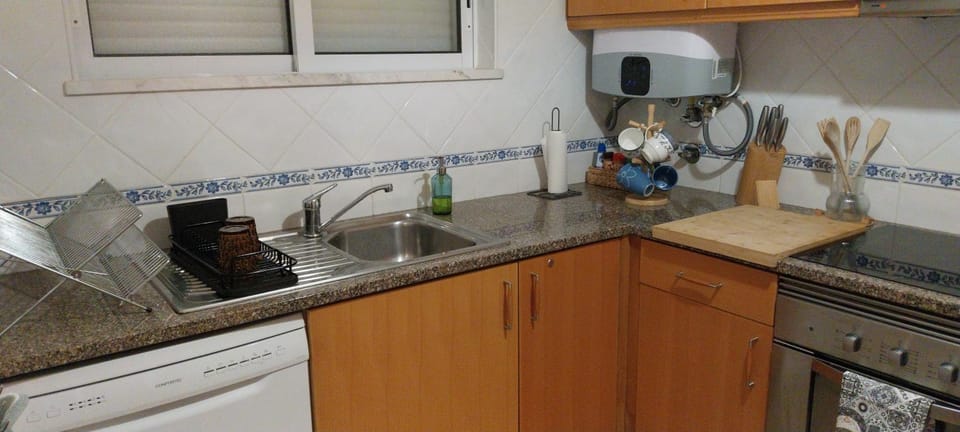 Kitchen or kitchenette, dishwasher, stove