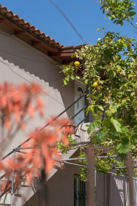 Cozy loft Big balcony all comfort Near Sarandë Apartment in Vlorë County, Albania