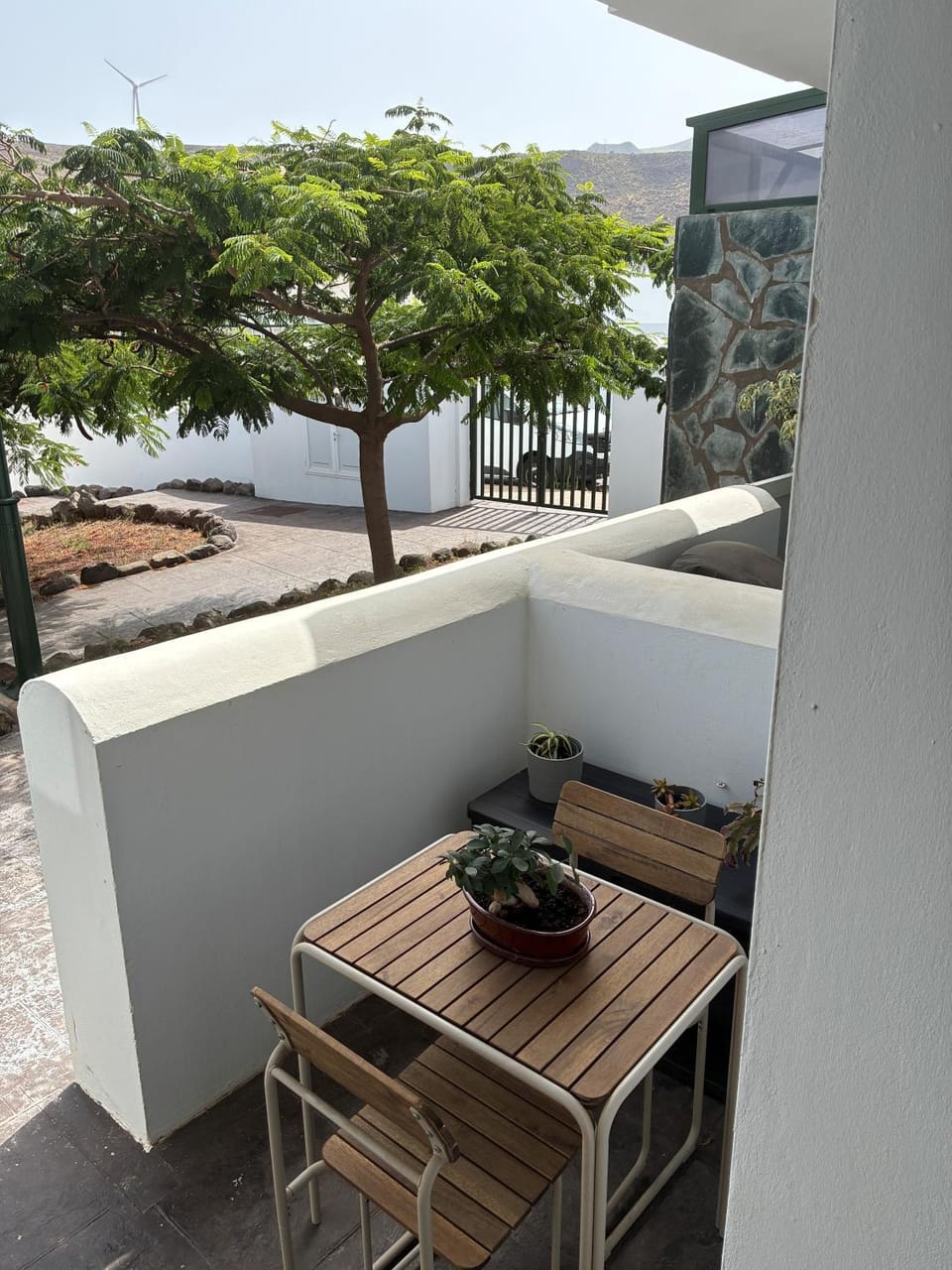 Garden view