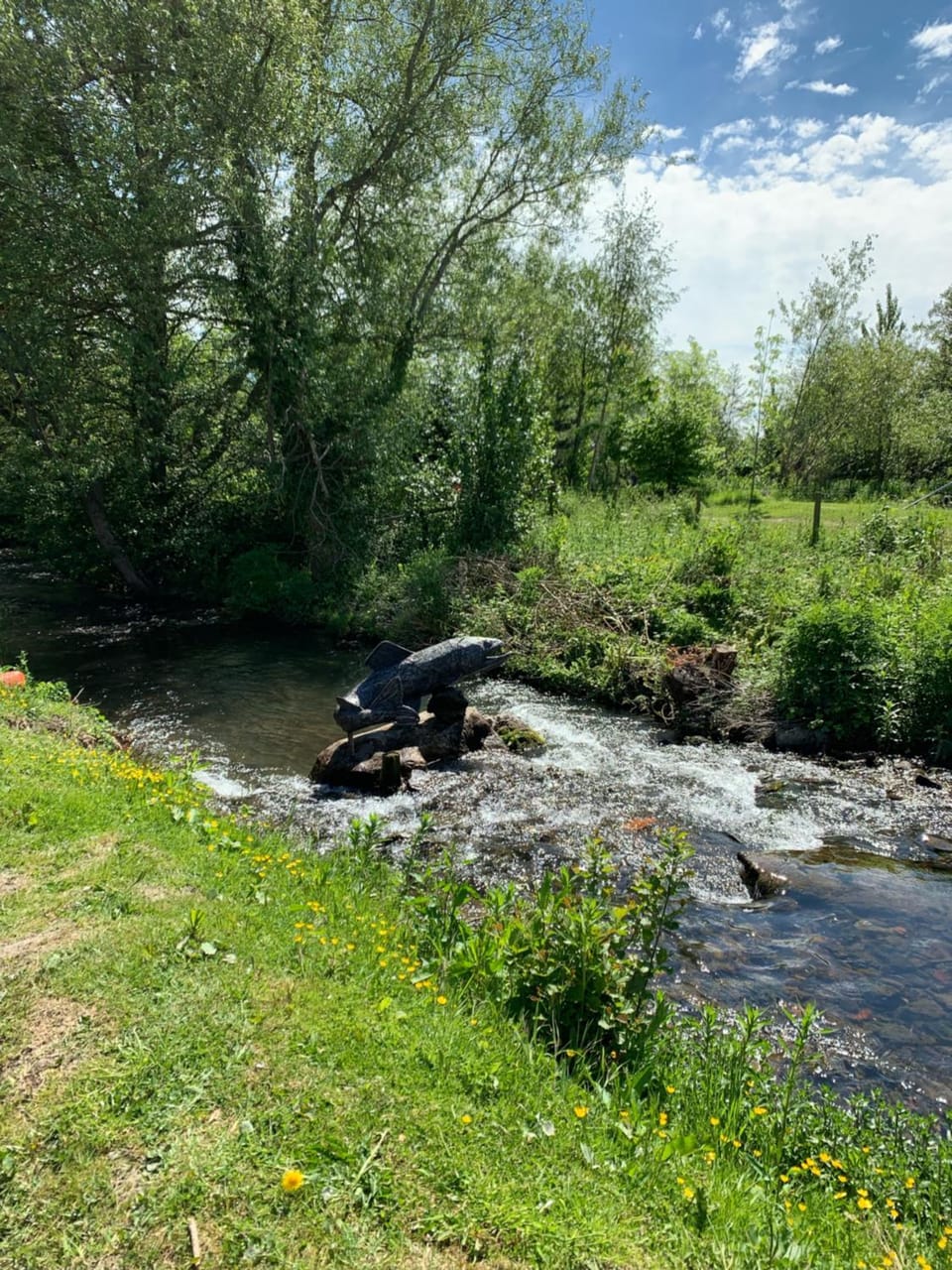 Weston glamping pod Nature lodge in Oswestry