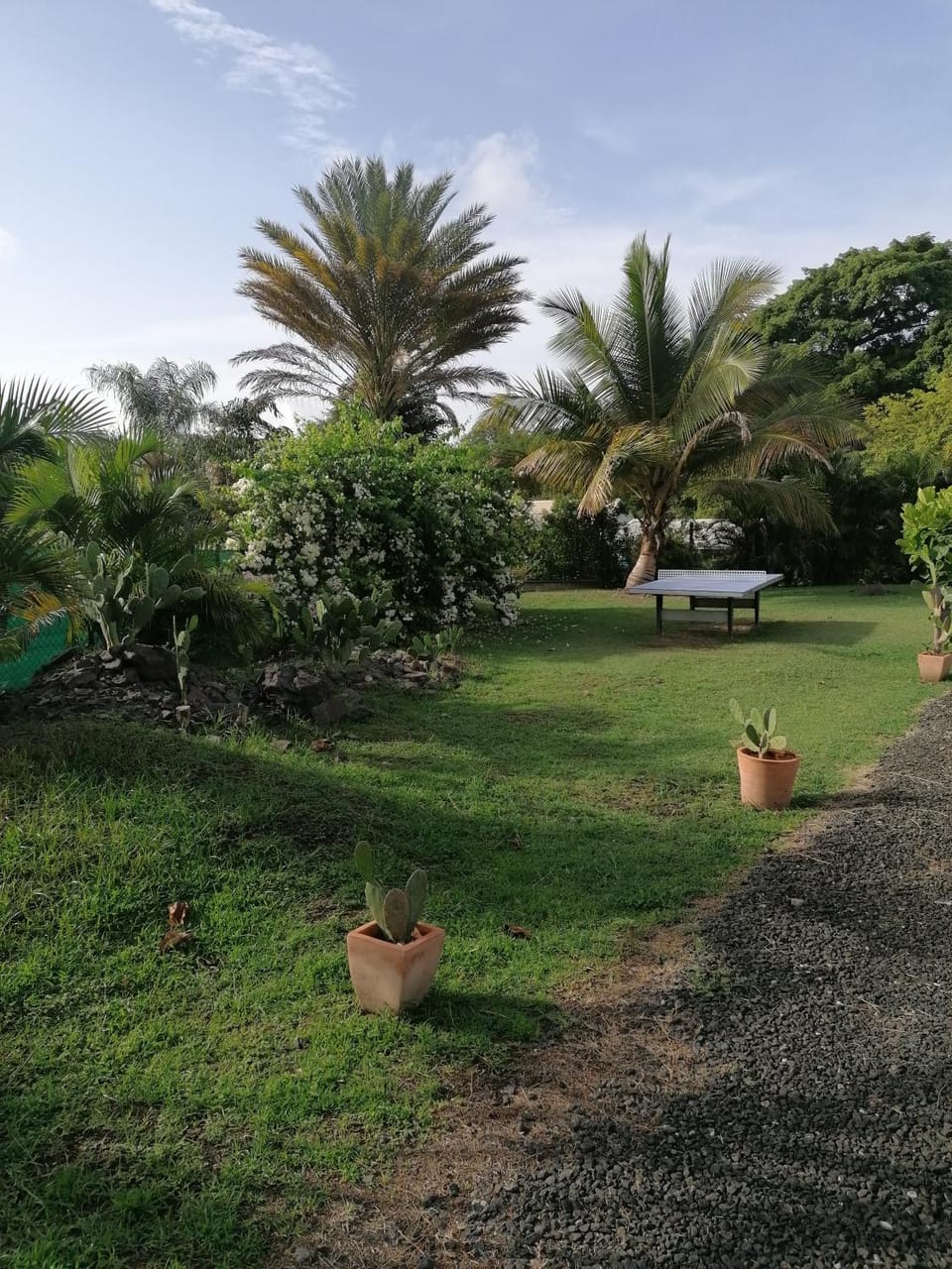 Property building, Day, Natural landscape, Garden, Garden view