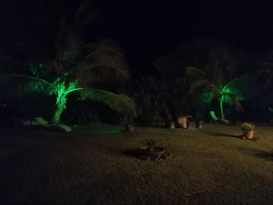 Night, Garden, Garden view