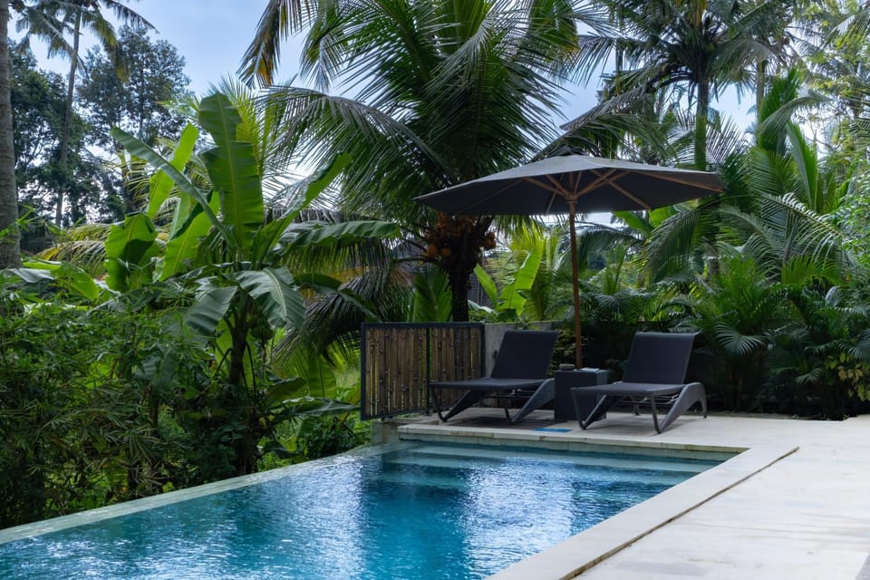 Pool view, Swimming pool, sunbed