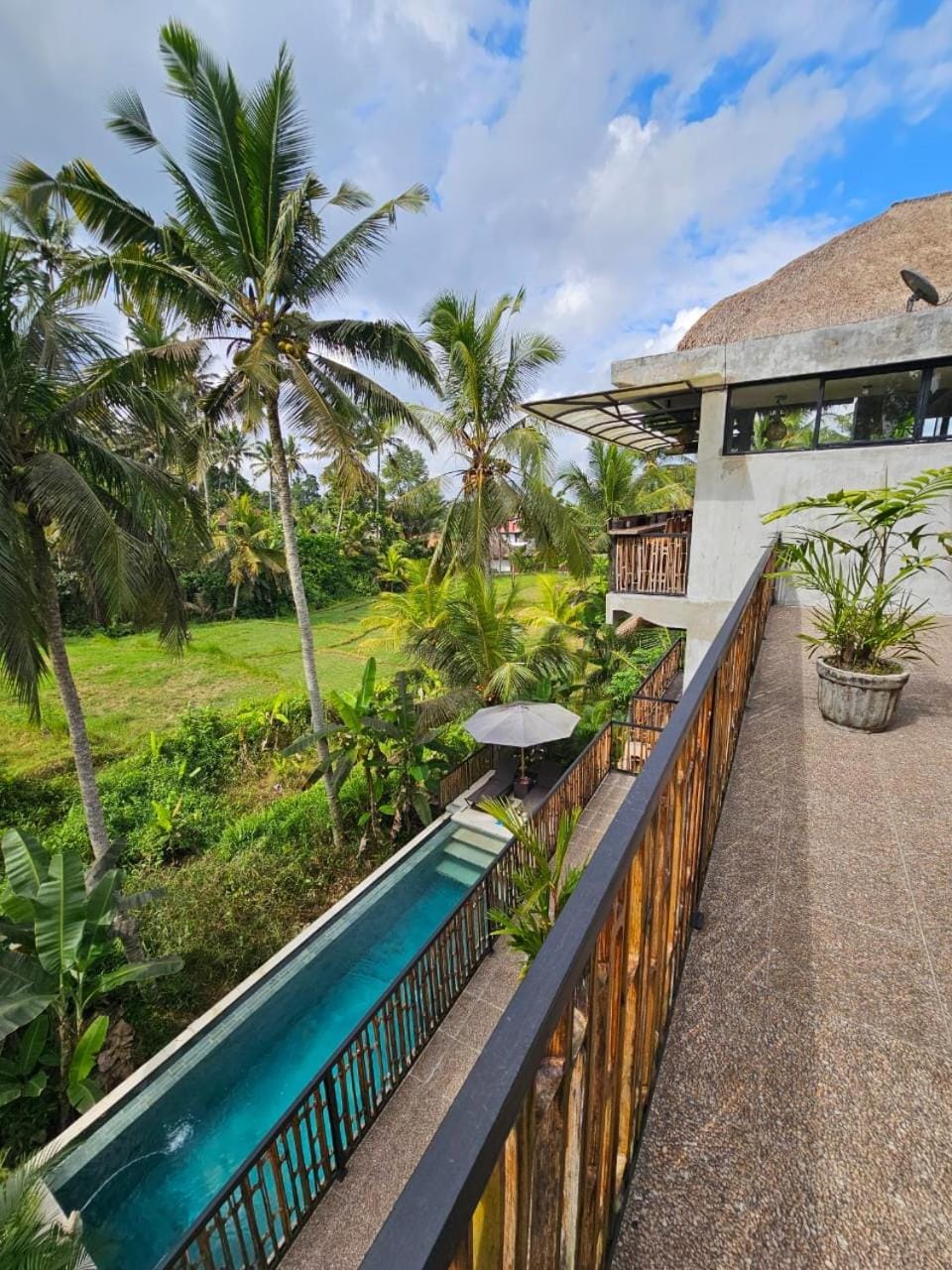 Natural landscape, Pool view