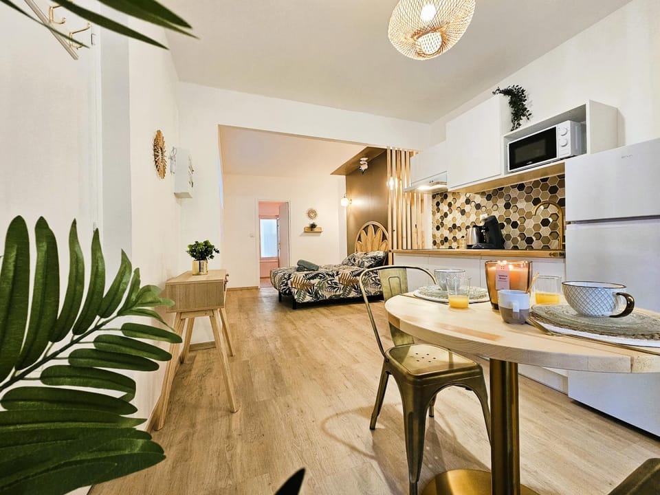 Tout confort ! Balnéo, Sauna, Cinéma, Climatisation, Parking, WiFi Apartment in Carcassonne