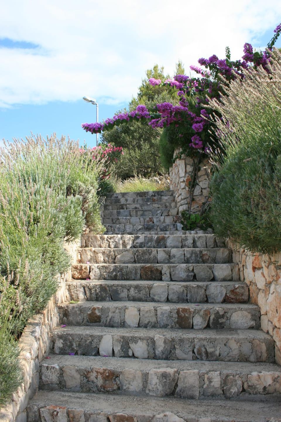 Property building, Garden