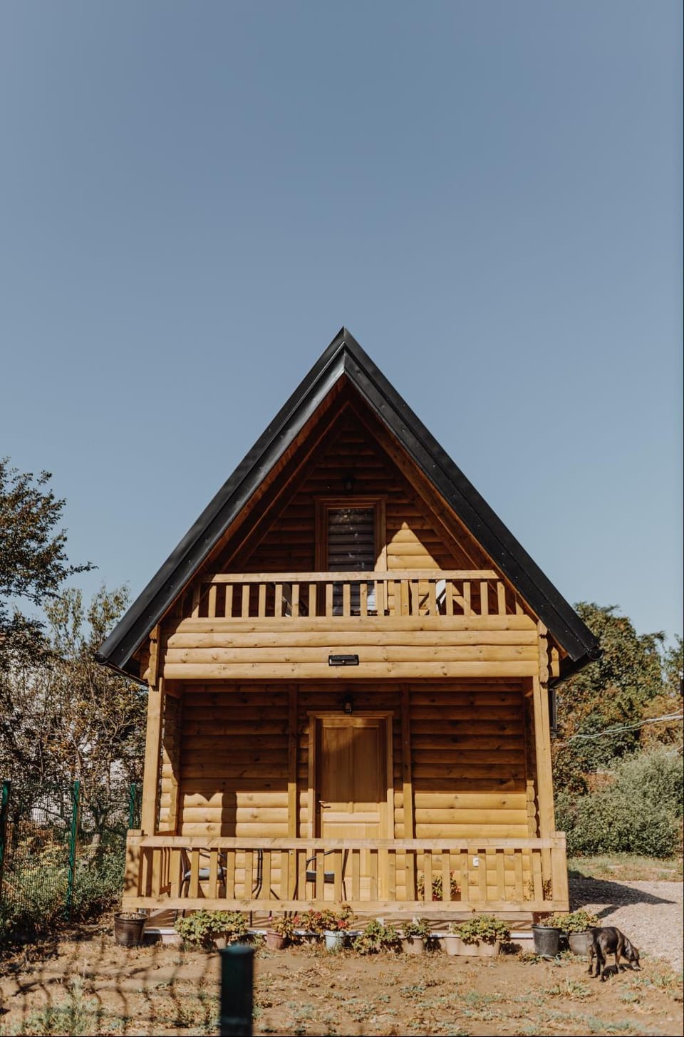 Brvnara Mila Vinci House in Serbia