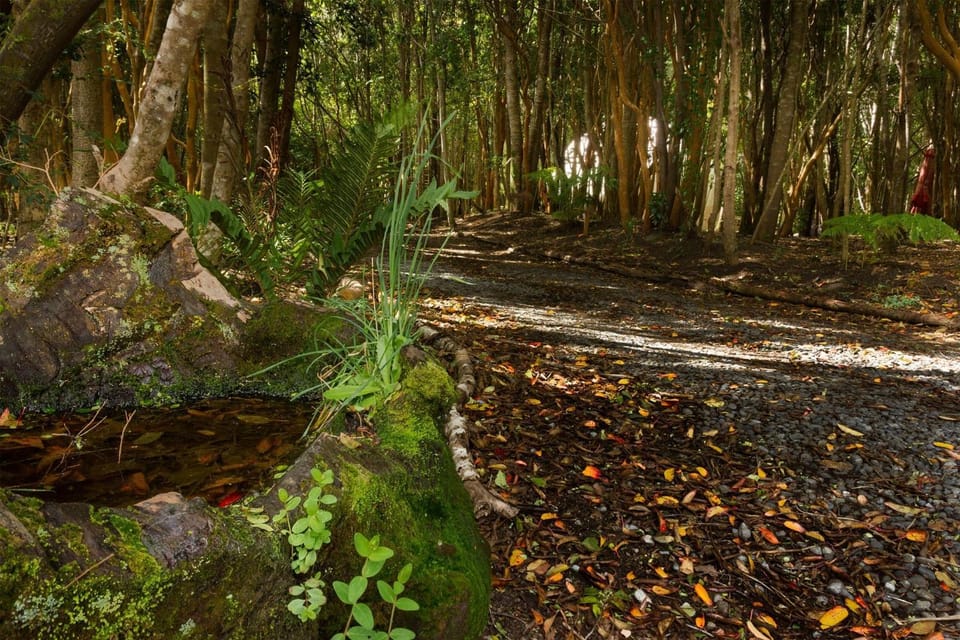 Natural landscape