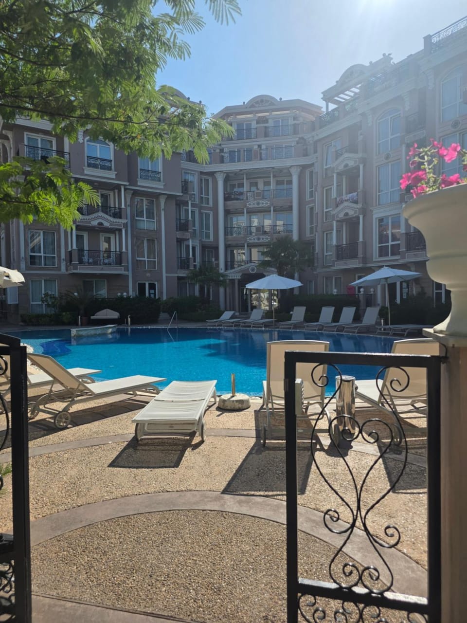 Pool view, sunbed