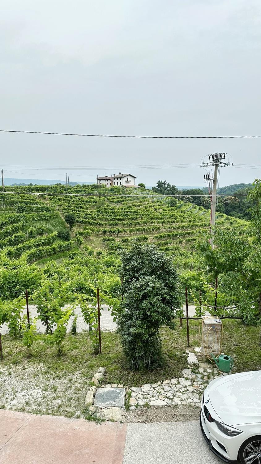 Spring, Day, Neighbourhood, Natural landscape