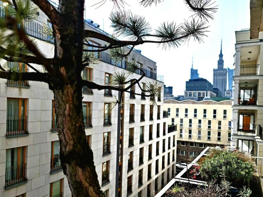 Property building, Day, City view, Location