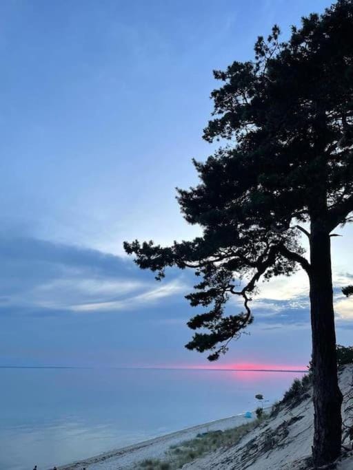 CampOloHel- przyczepa kempingowa House in Pomeranian Voivodeship