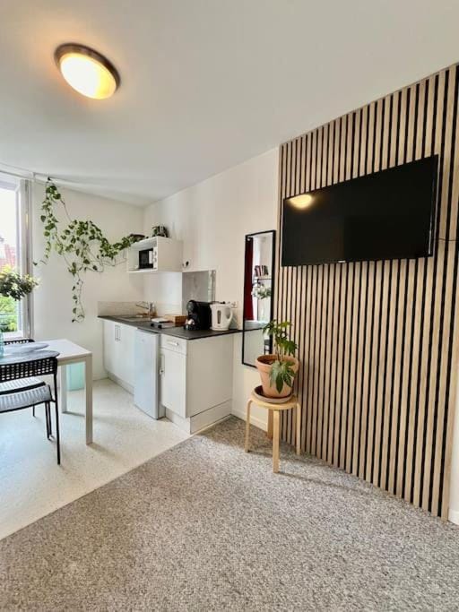 Studio 2 Rue Théodore Bac - DABNB Apartment in Limoges