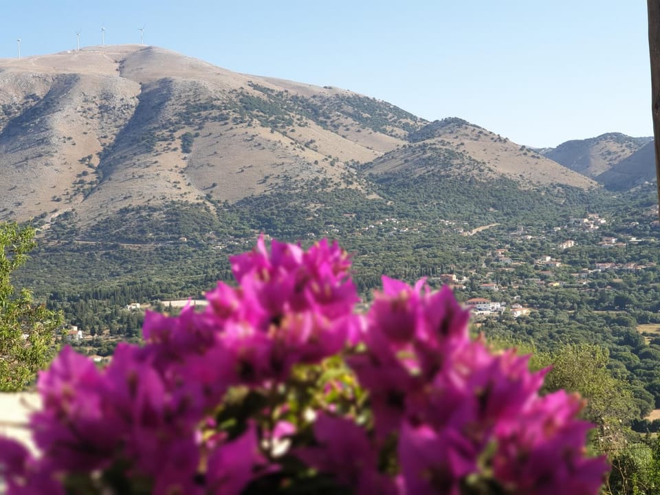 Mountain view