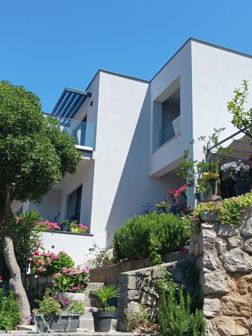 Property building, Garden