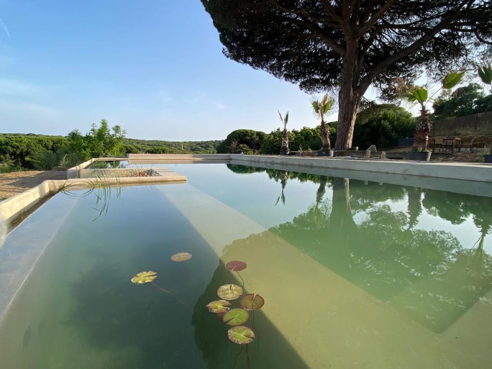 Natural landscape, Pool view, Swimming pool