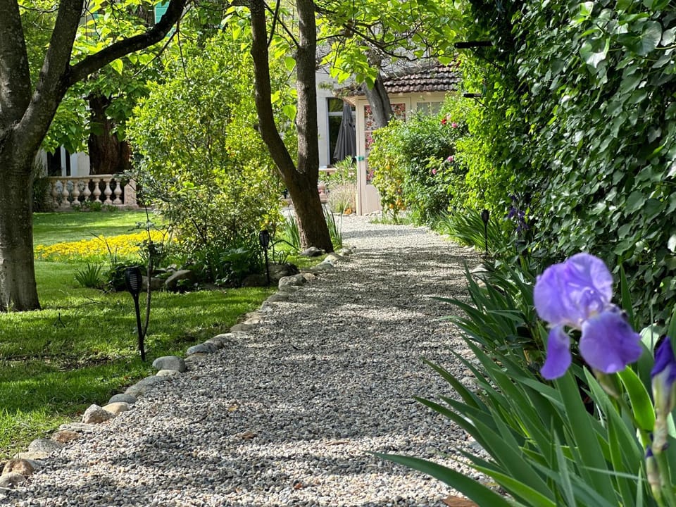 Natural landscape, Garden