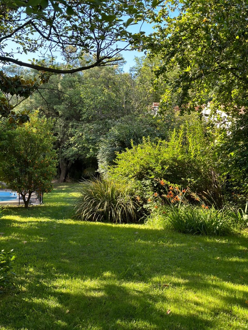 Natural landscape, Garden, Garden view